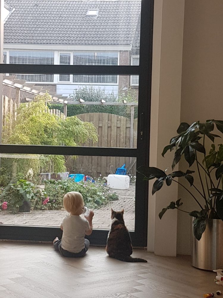 WARP Systems eengezinswoning kind en huisdier SpeeTile systeem met afwerkvloer